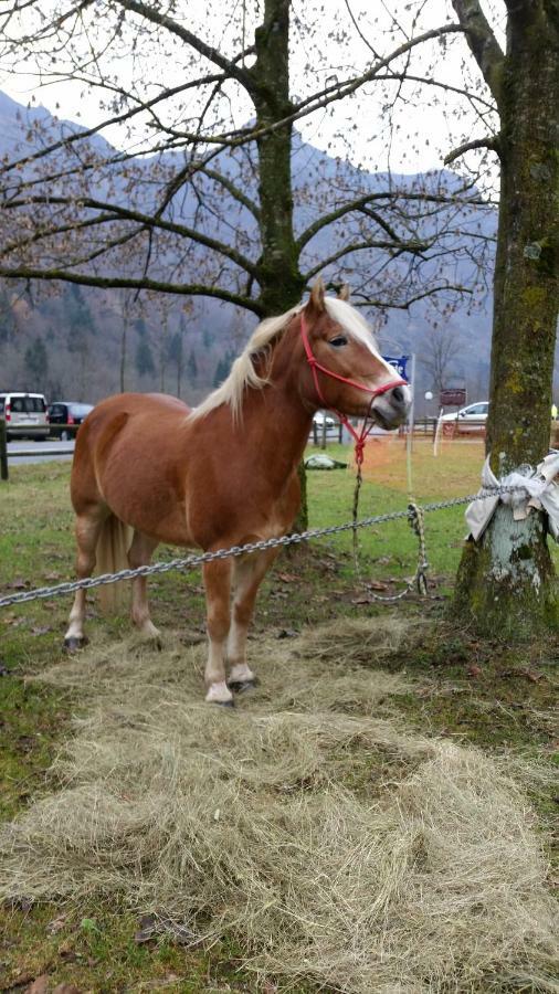 Ospitalita Rurale Familiare Land Wasser Panzió Varallo Kültér fotó